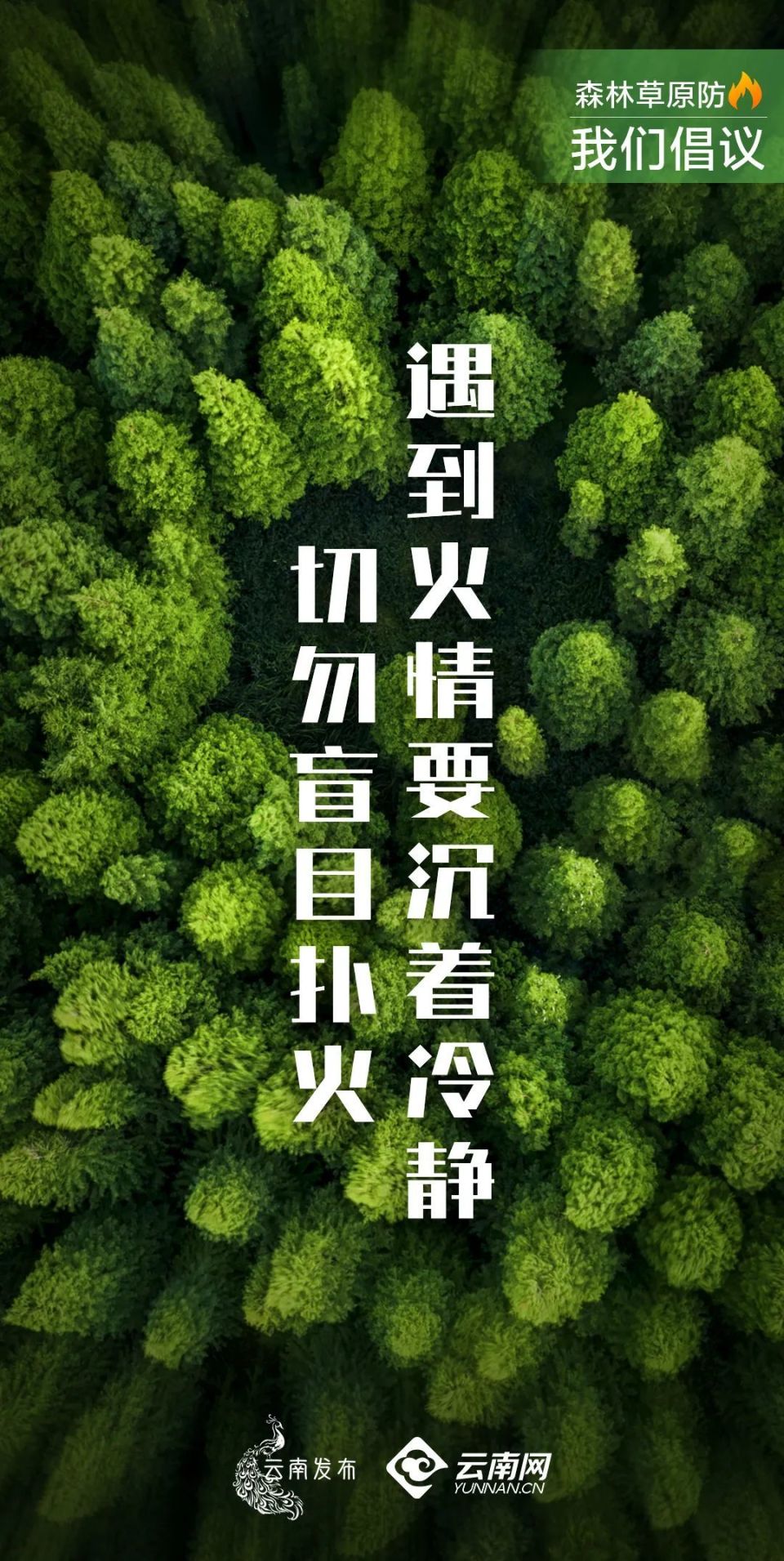 森林草原防火艺术字图片