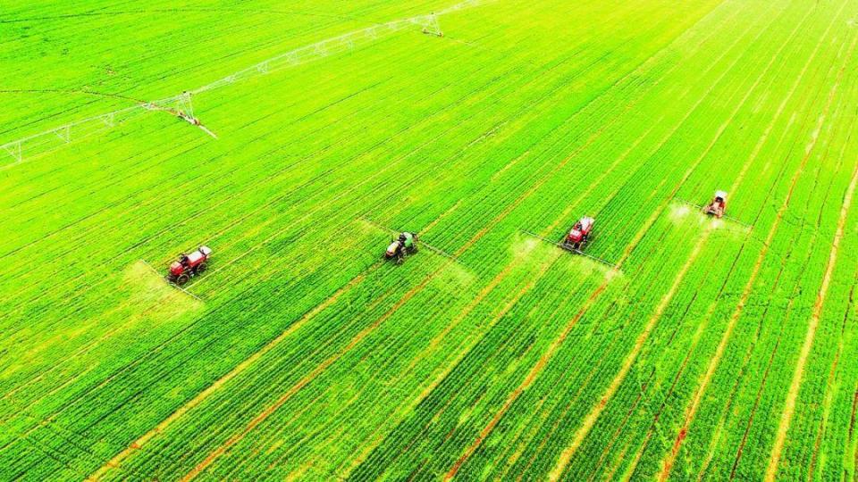 山东国资国企2023年高质量发展报告|山东农担:助力"三农" 为"农"而"担