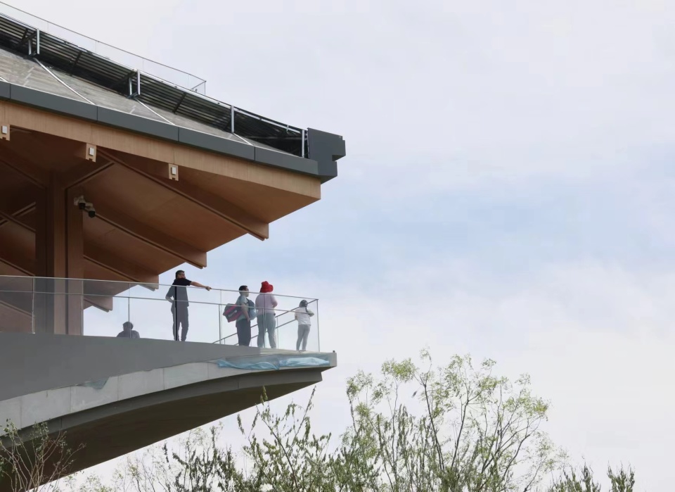 "登上南苑森林湿地公园观景台的朱先生感慨.