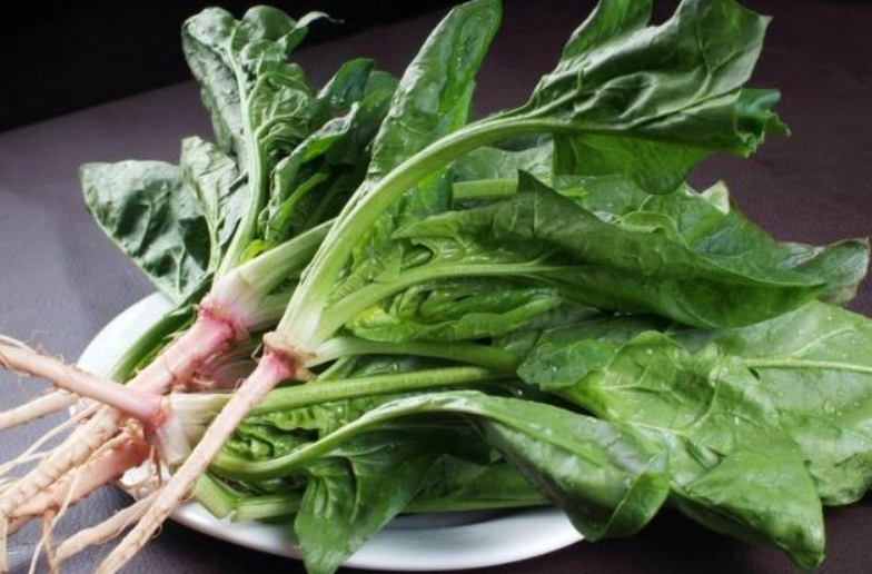 菠菜虽然营养但不能乱吃!医生:这几类人,再馋也不要轻易下嘴!_腾讯新