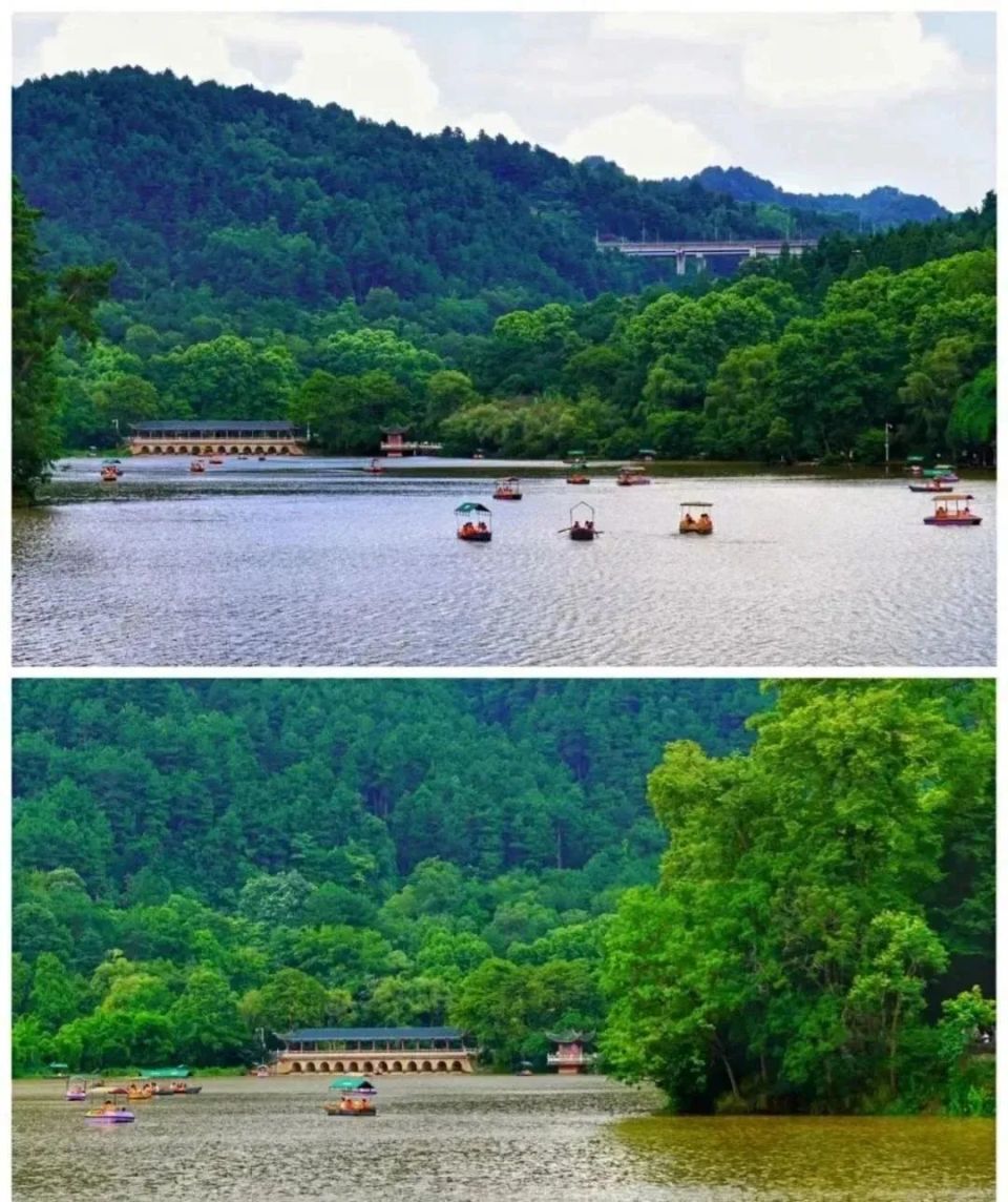 "人气担当"黔灵山公园登榜贵州五一热门景区!