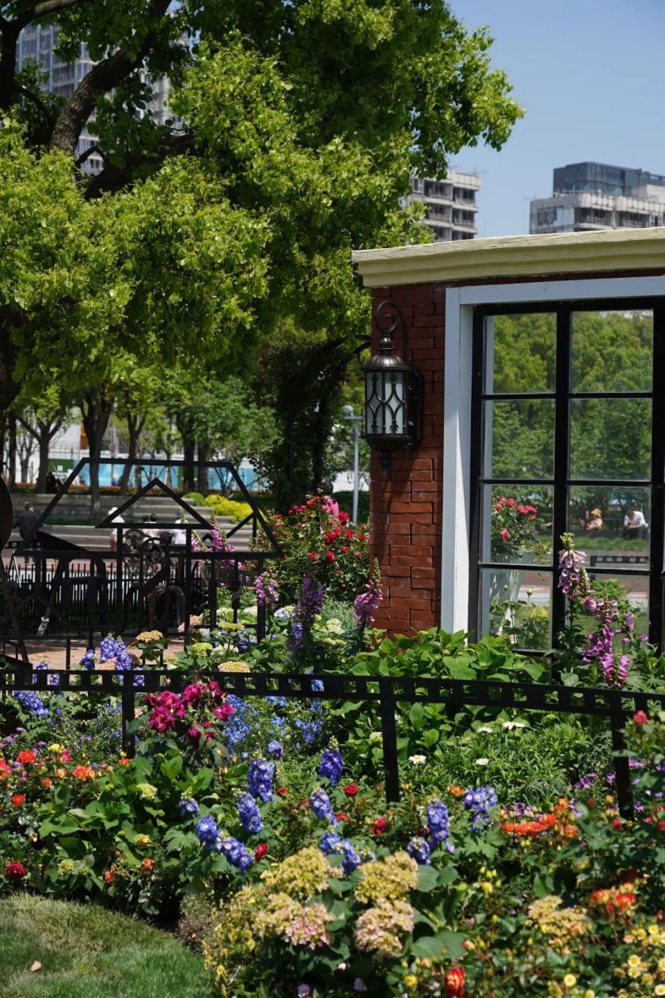 2024上海(国际)花展开幕!