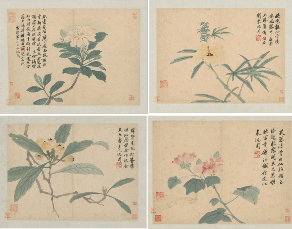 保利二十周年秋季庆典丨张学良“定远斋”旧藏——沈周《葵花图》卷：一花藏