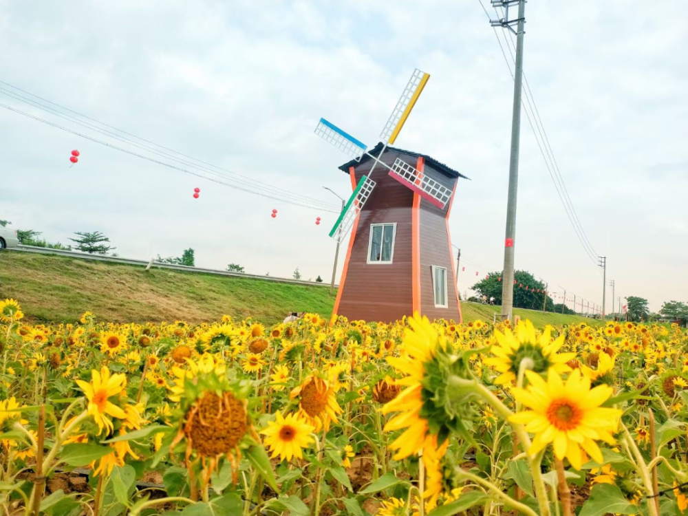 顺德勒流街道黄连古村景区获评国家3a级旅游景区_腾讯新闻