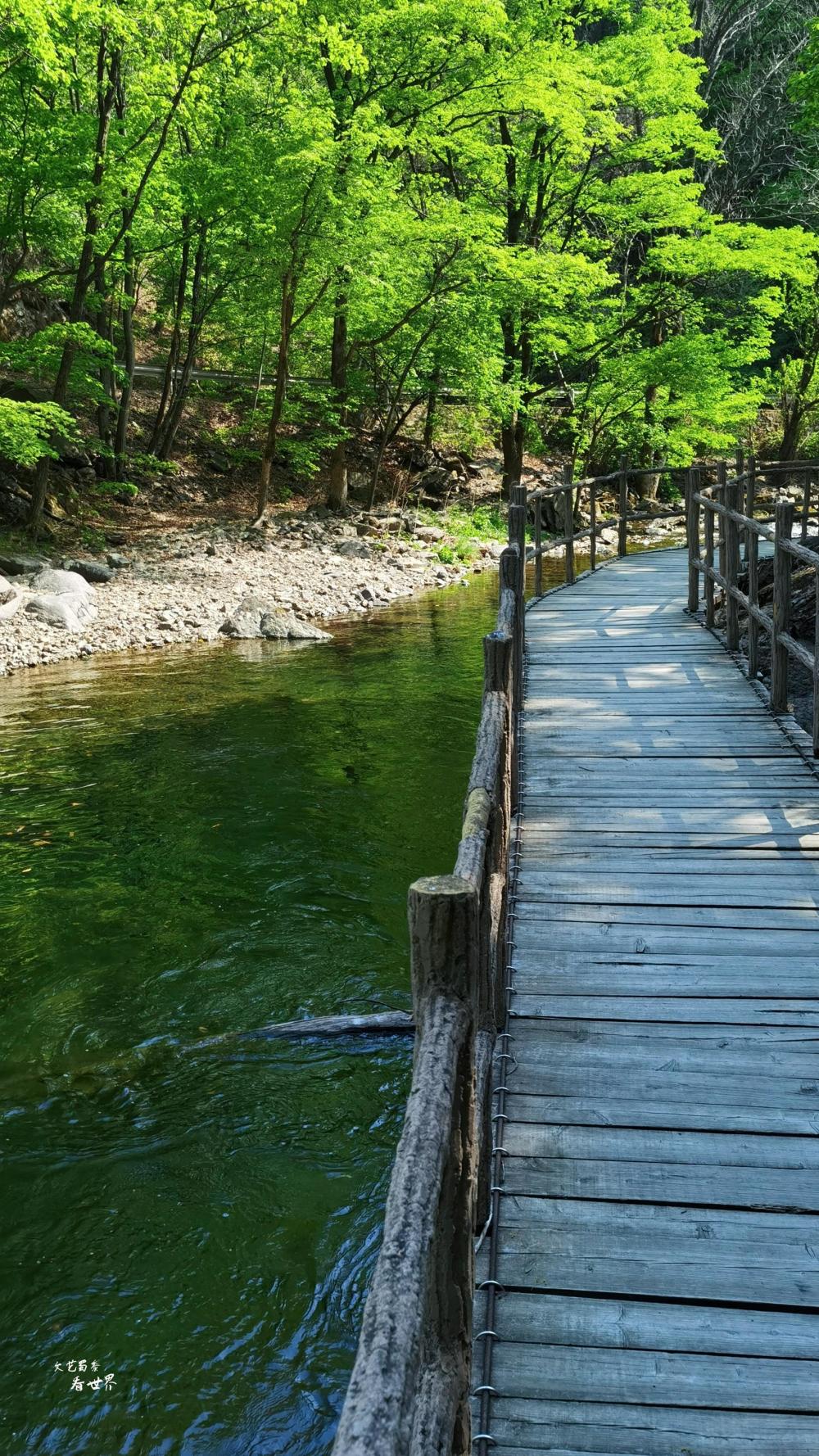 初夏时节去本溪关门山森林公园走走,人少景美,特别地幽静_腾讯新闻