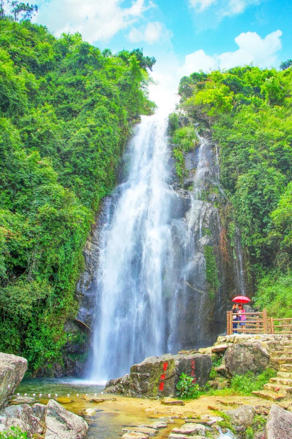 来恩平,告诉你答案