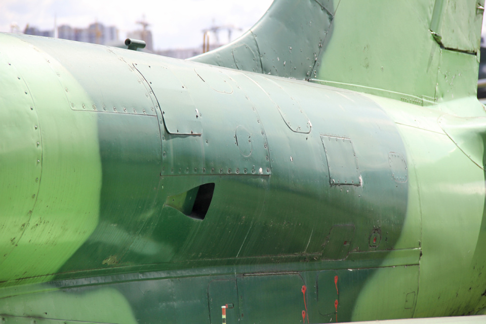 捷克和斯洛伐克天空中的信天翁l