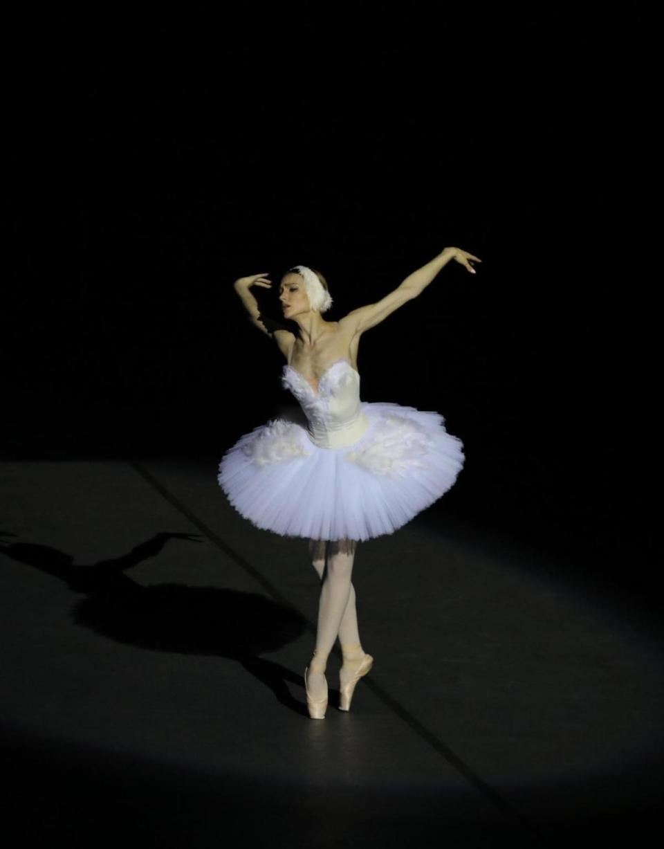 2025深圳文博会艺术季启幕“芭蕾航母”莫斯科大剧院芭蕾舞团华丽开场-腾讯新闻