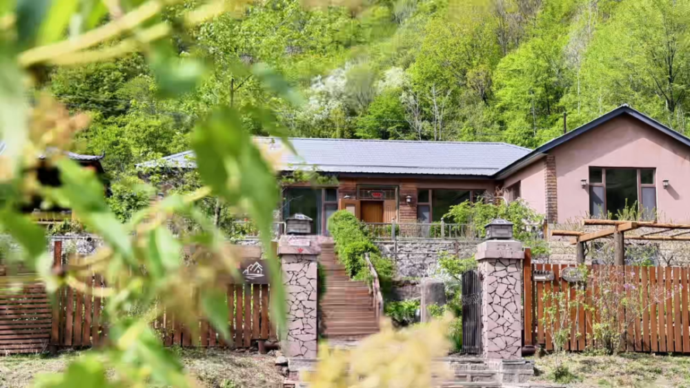 这里的乡村民宿已从单一的住宿向乡村综合体转型,乡村民宿与农业,生态