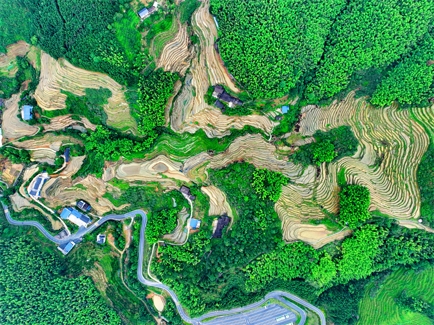 赣州市崇义县上堡乡,层层叠叠的梯田与森林,民宿,公路相互映衬,夏日