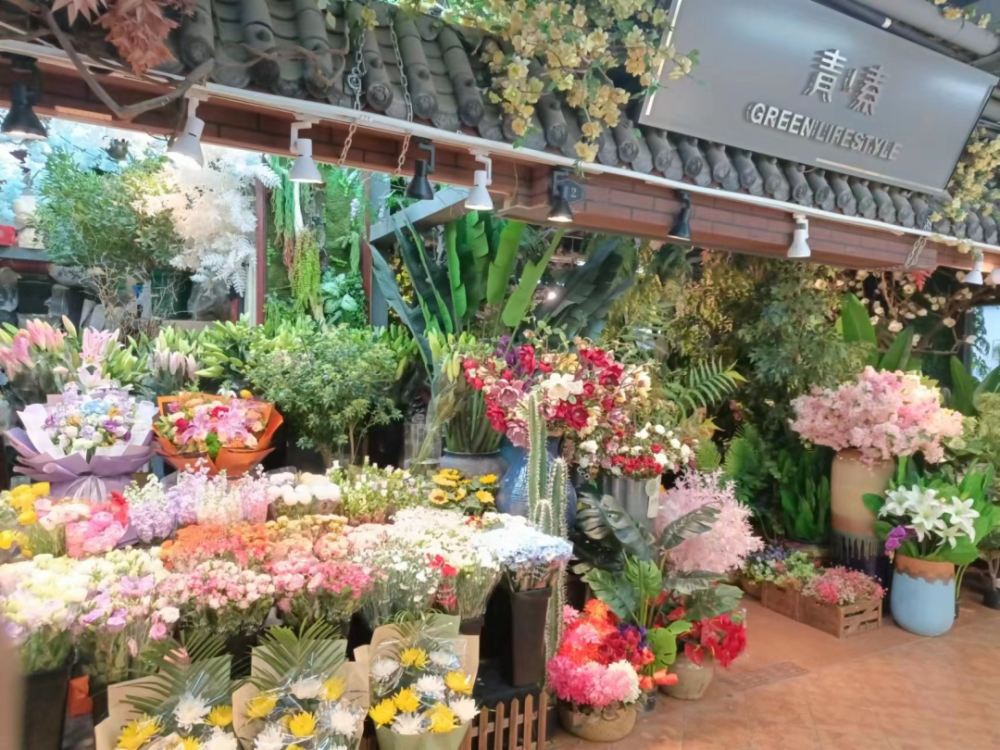 走进长春!100个网红打卡地之青怡坊花鸟鱼综合市场_腾讯新闻