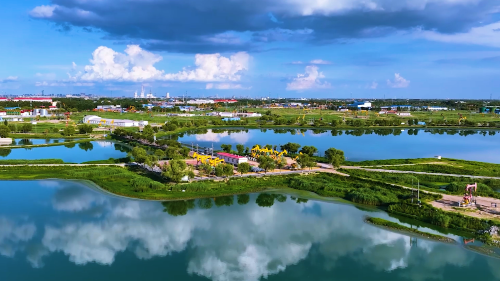 大油田里的碳中和生态园_腾讯新闻