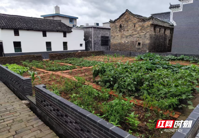 宜章县黄沙镇大元村:四类乡村建设扮靓乡村风貌 美丽家园焕新颜