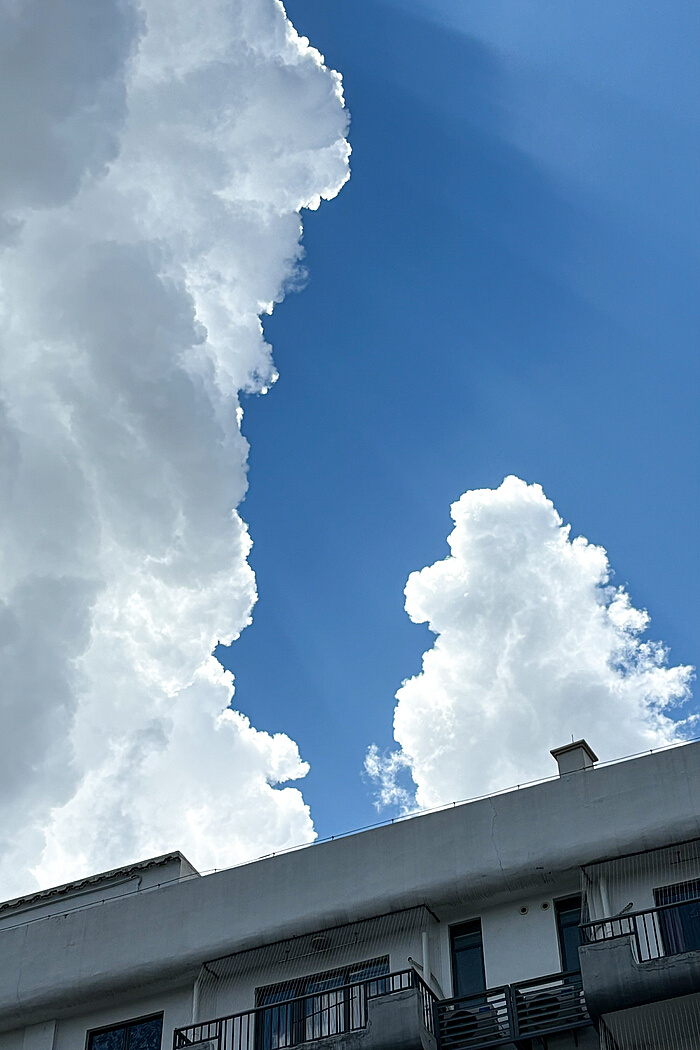 深圳image | 在深圳做云朵收藏家