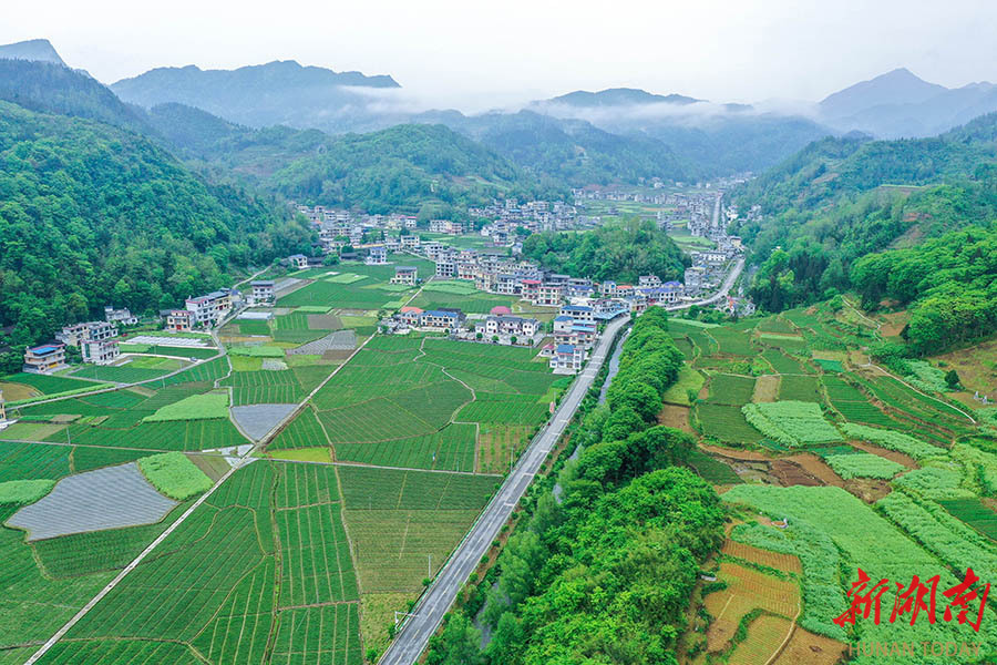 4月22日,龙山县石牌镇上母村云雾绕青山,公路伴小溪,村庄与田园相映