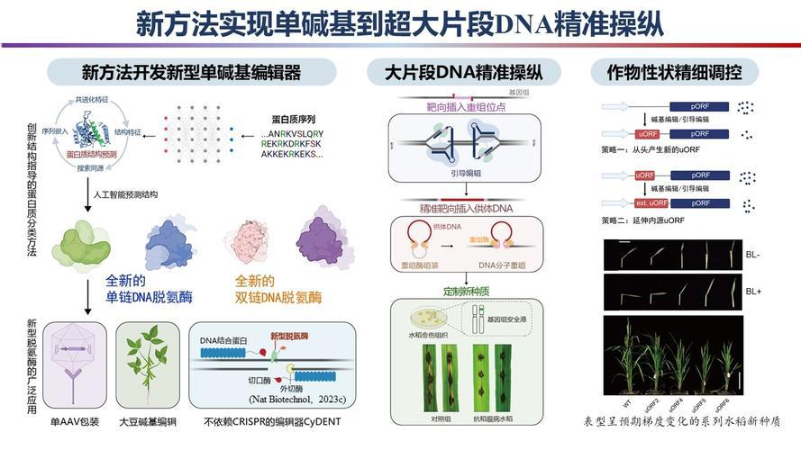 中国医疗技术有哪些我国医学领域科学研究与技术发展概况_https://www.jmylbn.com_新闻资讯_第1张