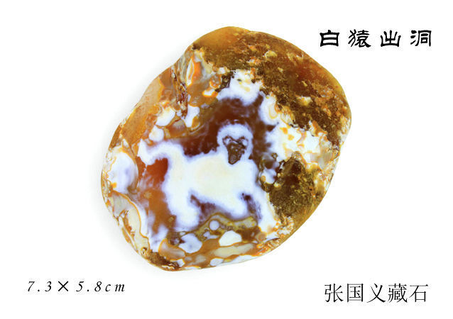 67南京雨花石协会名誉会长张国义先生在南京逝世