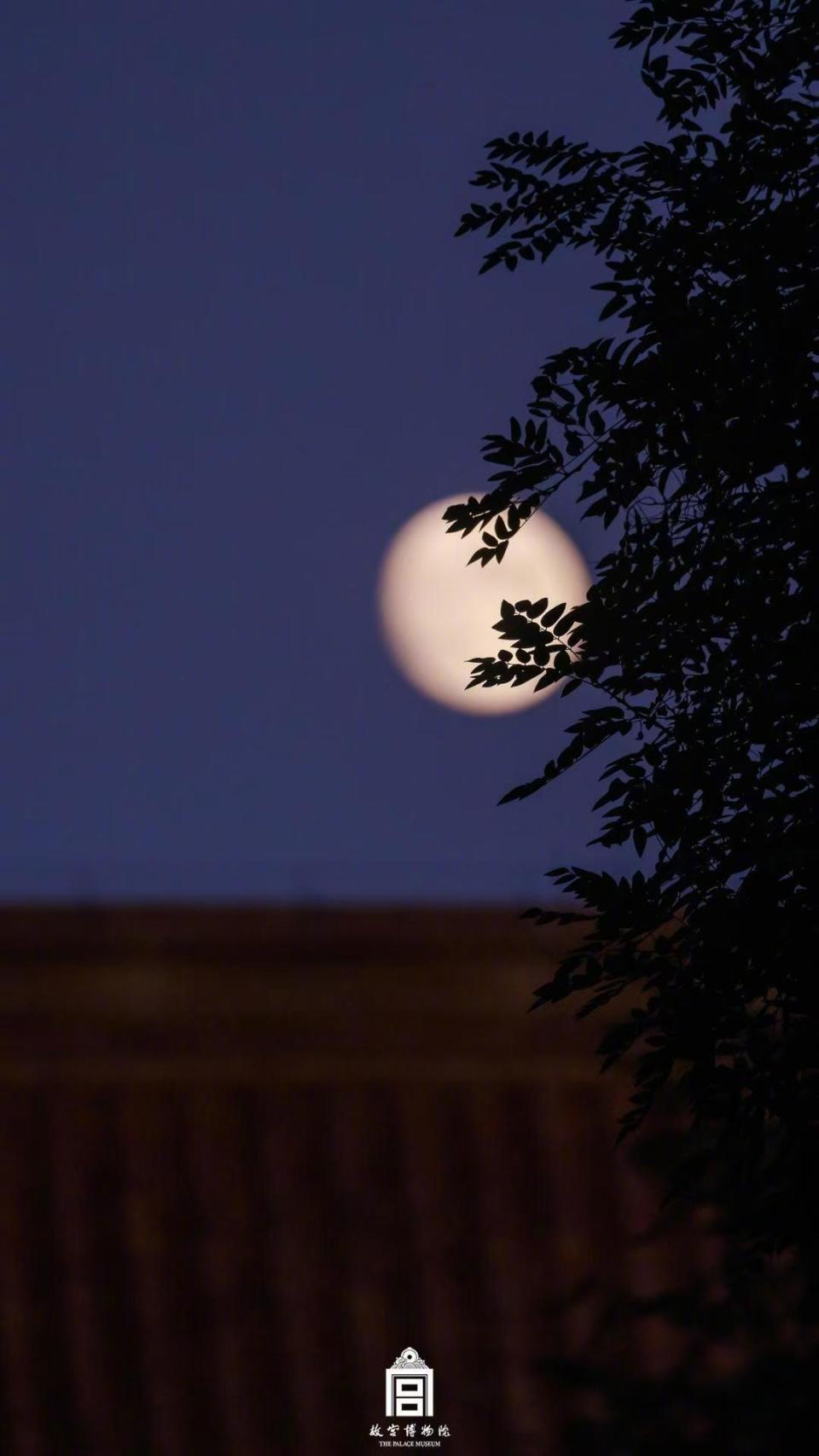 故宫月亮壁纸意境拉满