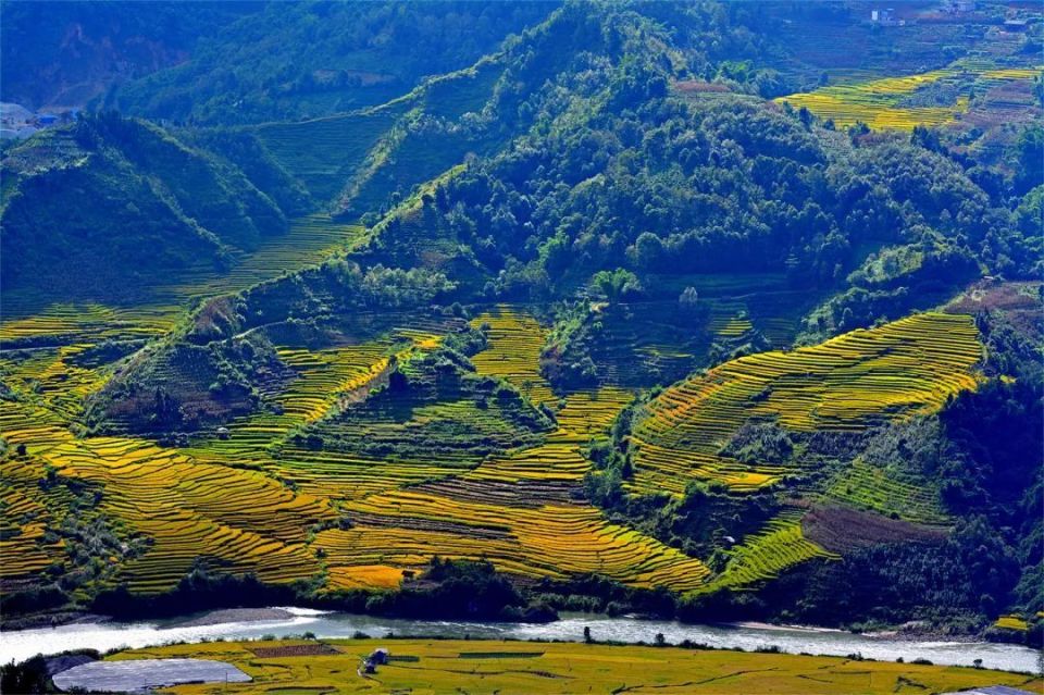 龙陵龙江:稻花鱼,金秋诗意的馈赠_腾讯新闻
