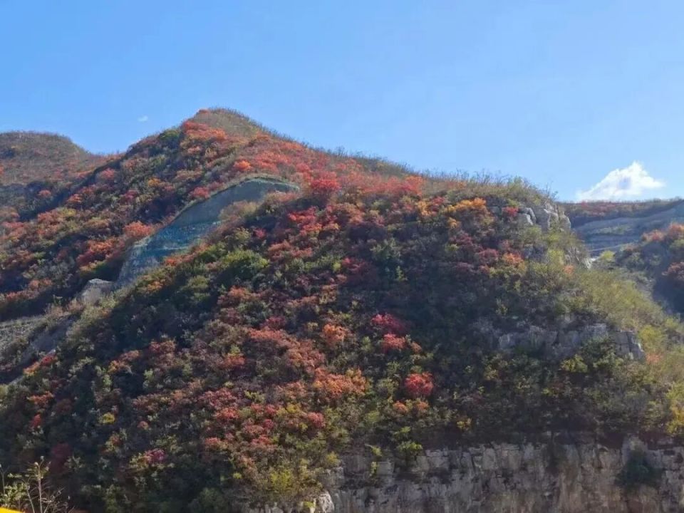 秋风吹遍太行，下周石家庄最美赏秋季正式开启！_腾讯新闻