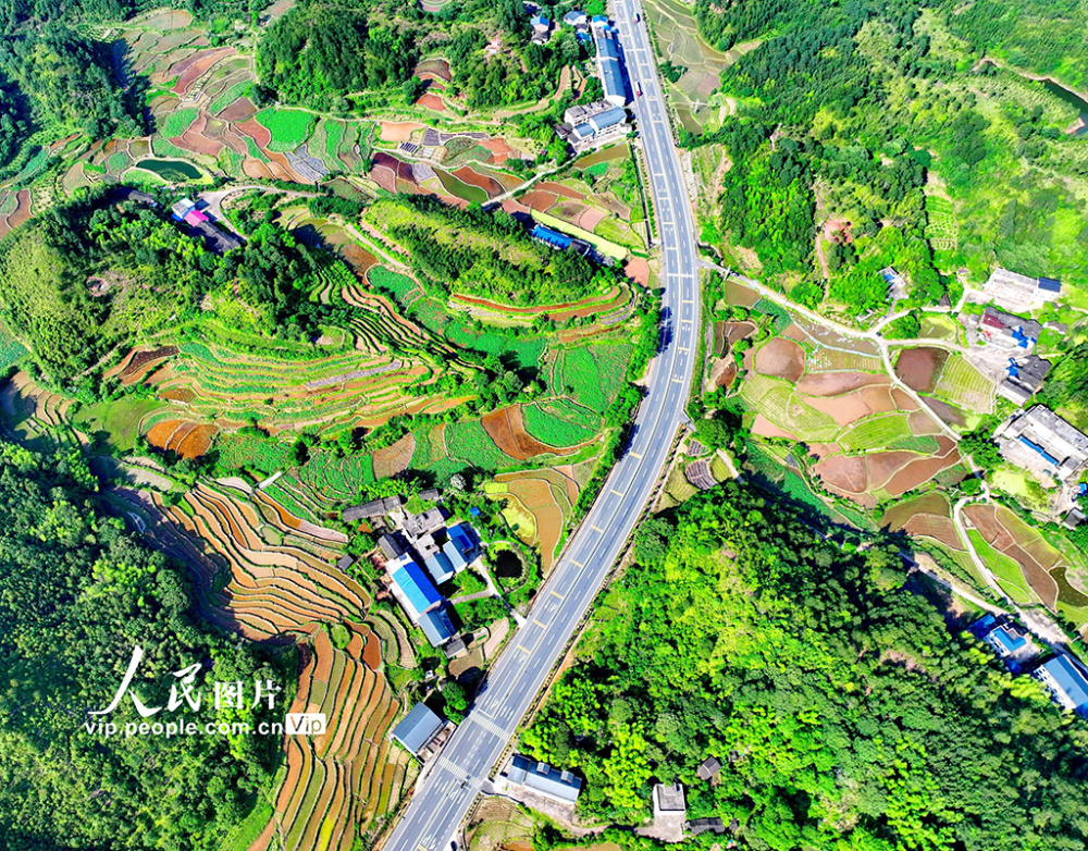 江西瑞金:路在景中延 车在绿中行