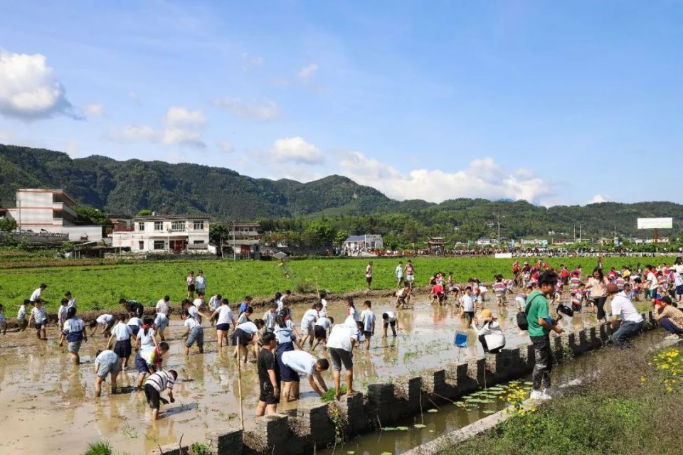 今天,僰王山这里热闹又好耍!