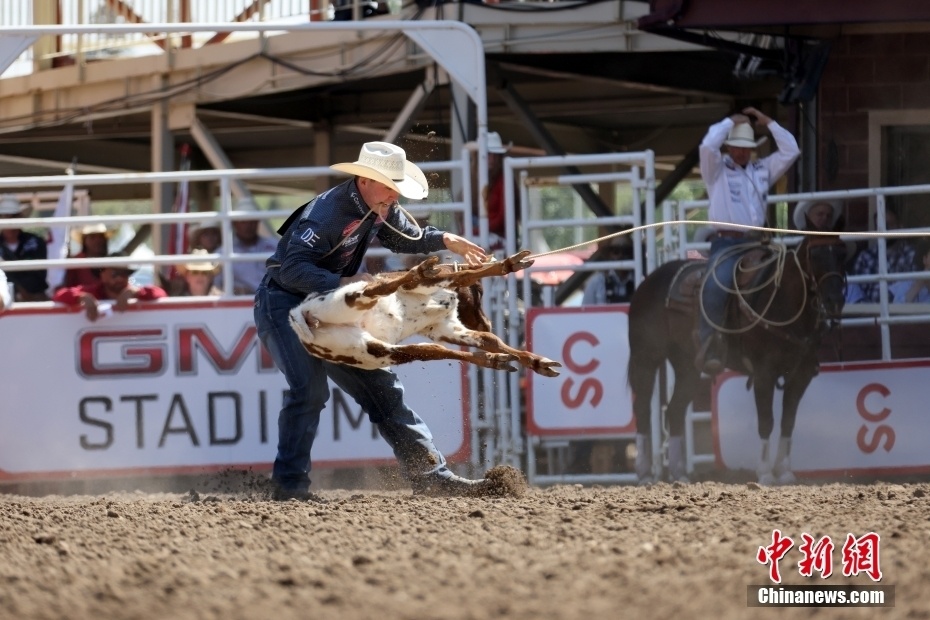 加拿大卡尔加里举行2023年牛仔节
