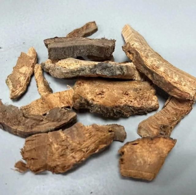 祛风湿通络止痛广海桐皮