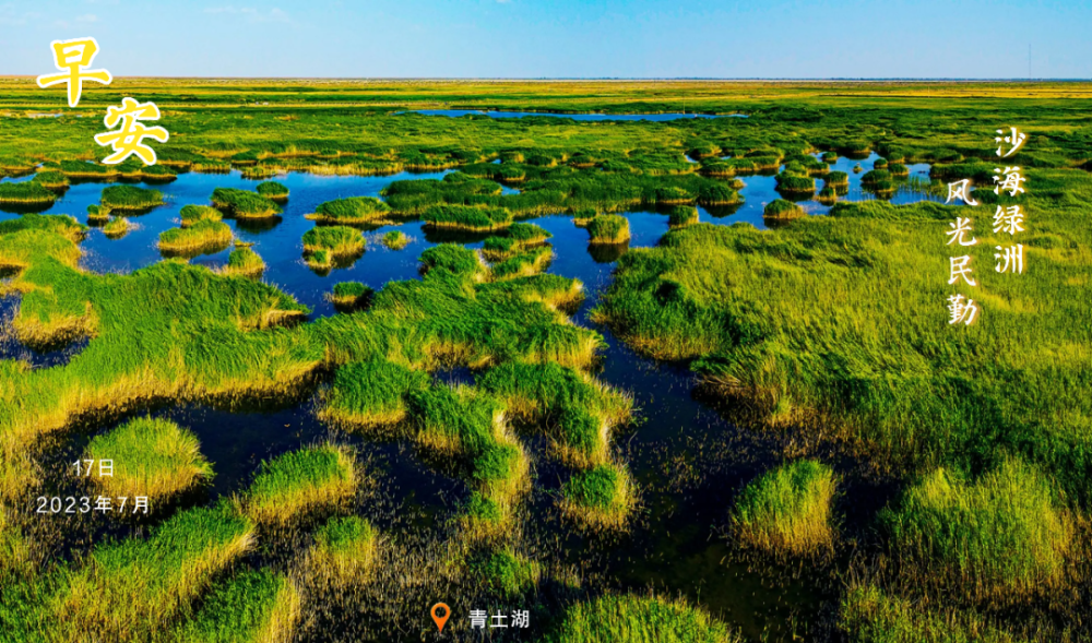 沙海绿洲·风光民勤丨青土湖