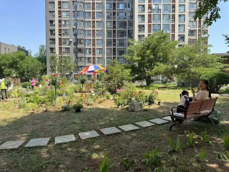 通运街道紫荆雅园社区微花园/记者拍摄义务植树进社区活动同步在东城