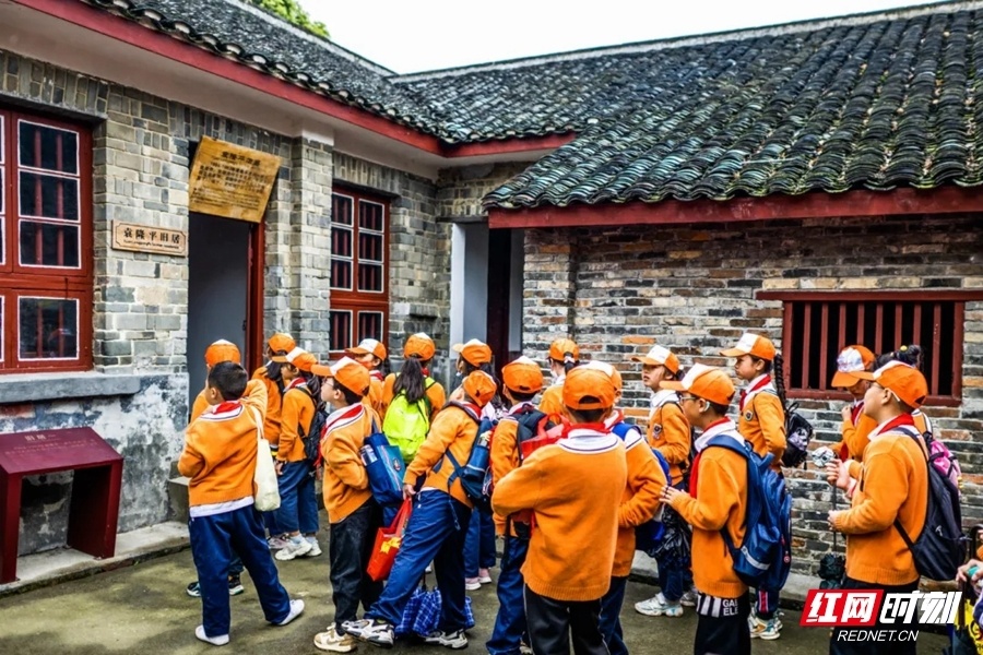 花草新闻社│怀化安江农校木绣球开了快来邂逅这片白色浪漫