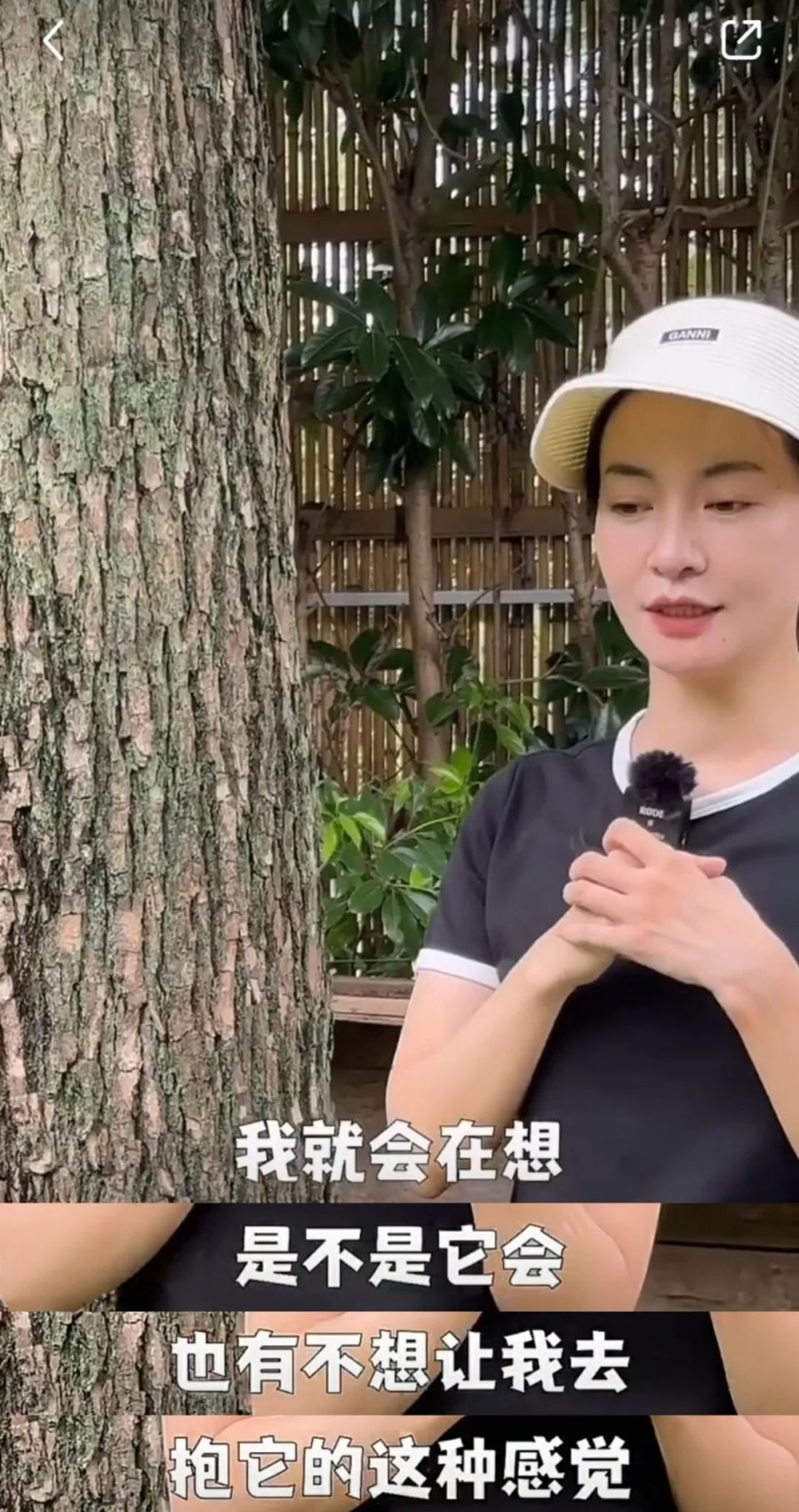 年轻人开始流行抱树：无厘头却有意义_腾讯新闻