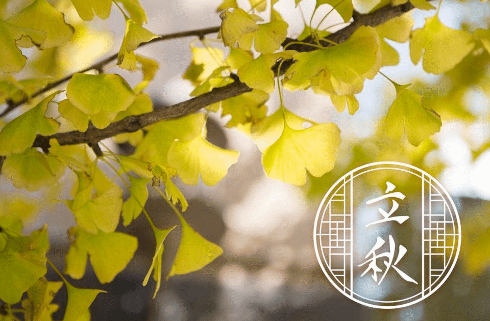 立秋将至，老人说“5菜不上桌，福气不进门”，5菜指啥？老传统别丢掉