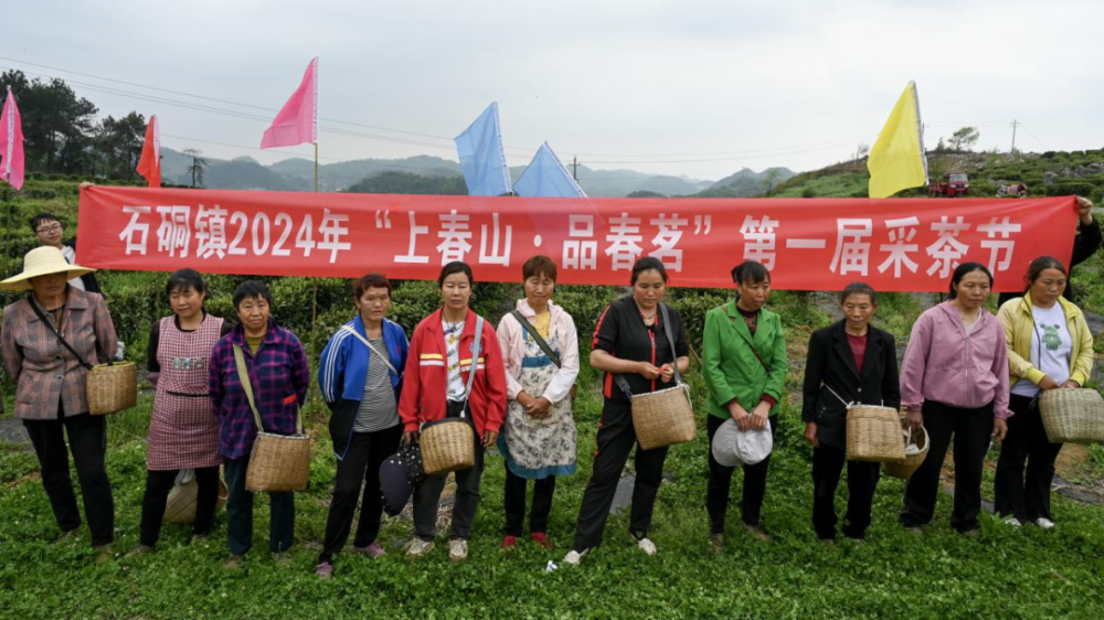 "上春山·品春茗" 息烽县石硐镇举行采茶节活动