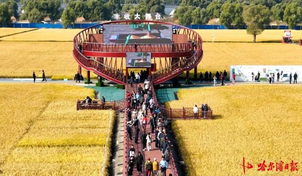 2025年中国农民丰收节黑龙江省主场活动盛大启幕_腾讯新闻
