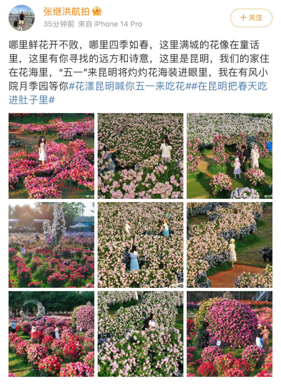 大v刷屏!昆明"花漾"持续上热搜,网友:好想去