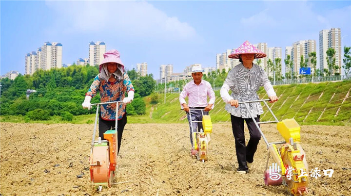 [南方生姜网-图片加载]