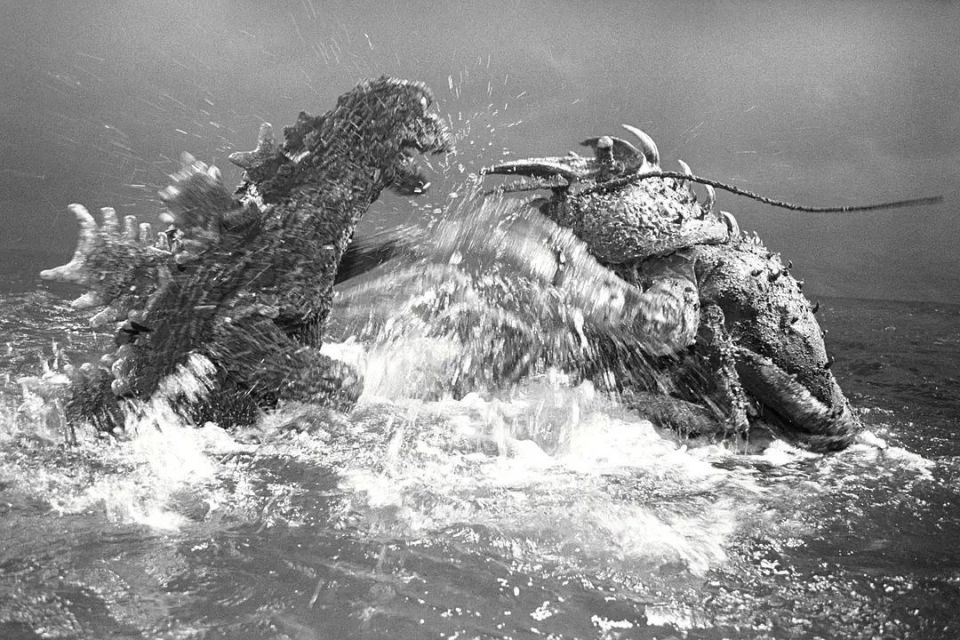 哥斯拉的历史,有一些复杂