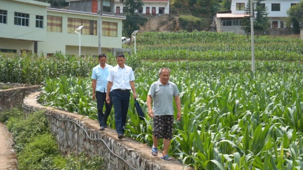 龙耀宇 摄"我将真蹲实住,真抓实干,和长流人民一起,用实际行动开辟