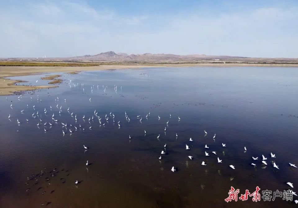 石羊河国家湿地公园图片