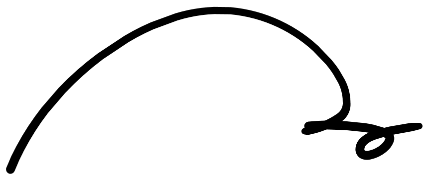 10000㎡硫华菊在乡土田园区璀璨绽放.