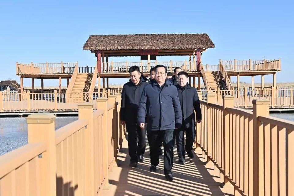 张国华调研白洋淀芦苇平衡收割情况