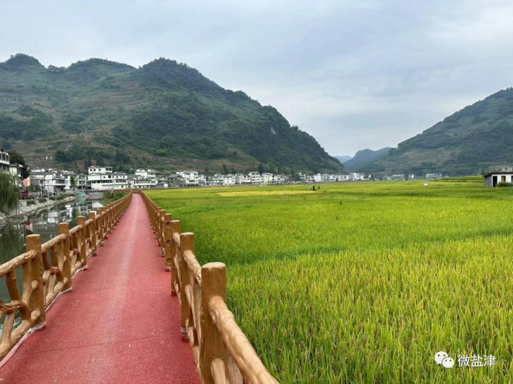 乡村振兴正当时丨盐津县牛寨乡耕地保护与绿美建设和谐共进-腾讯新闻