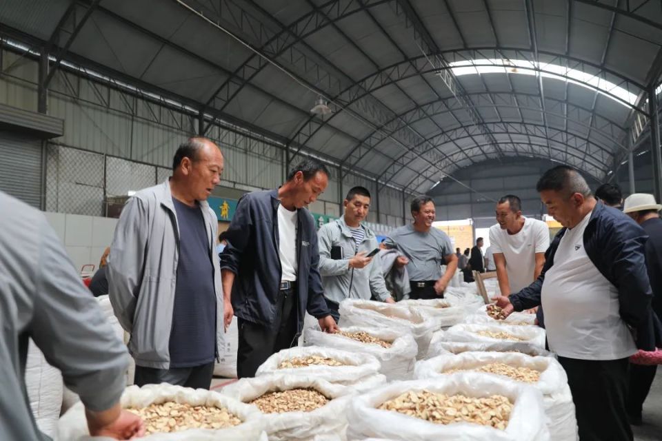 李艳是一位来自安徽亳州的客商,常年在首阳中药材交易市场收购药材给