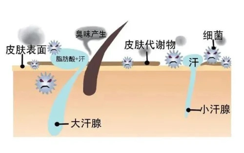 肤康秒懂百科一文全解做腋臭手术前你必须要知道的事