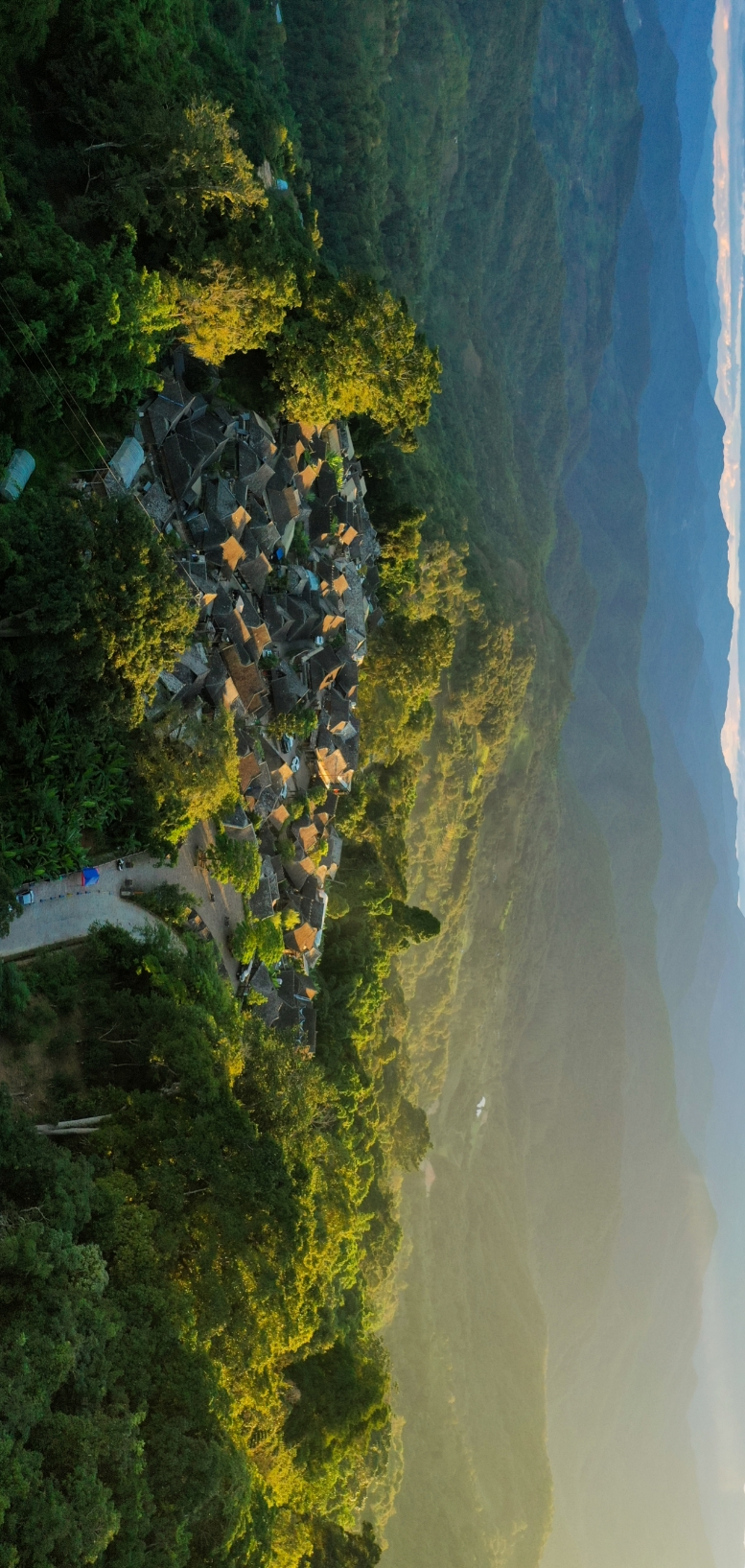 来云南,带你品不一样的茶"颜"悦色