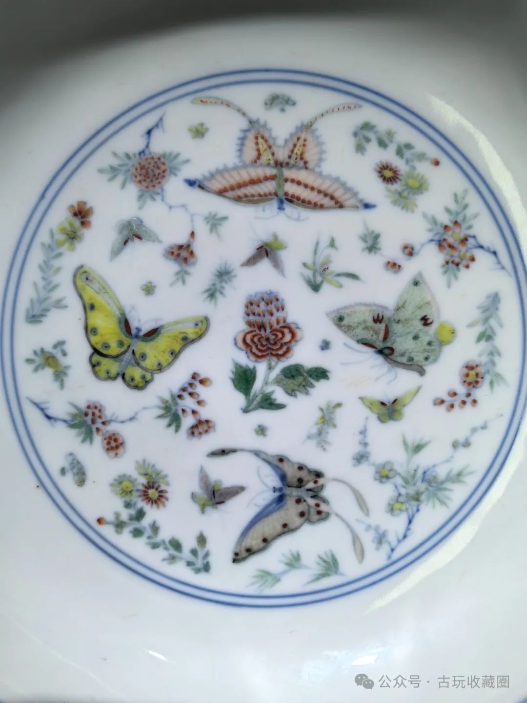 大清雍正年製　款　斗彩　豆彩　胡蝶花卉文　皿　盤　唐物 豆彩花唐草文盤 大清雍正年製銘 文化遺産オンライン