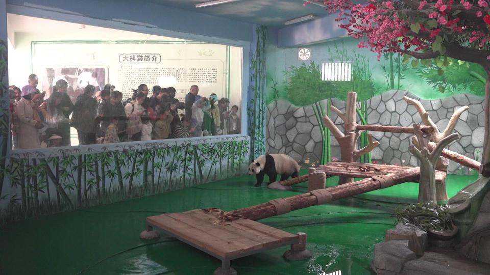 这份"打卡指南"带你解锁专属亲子时光!