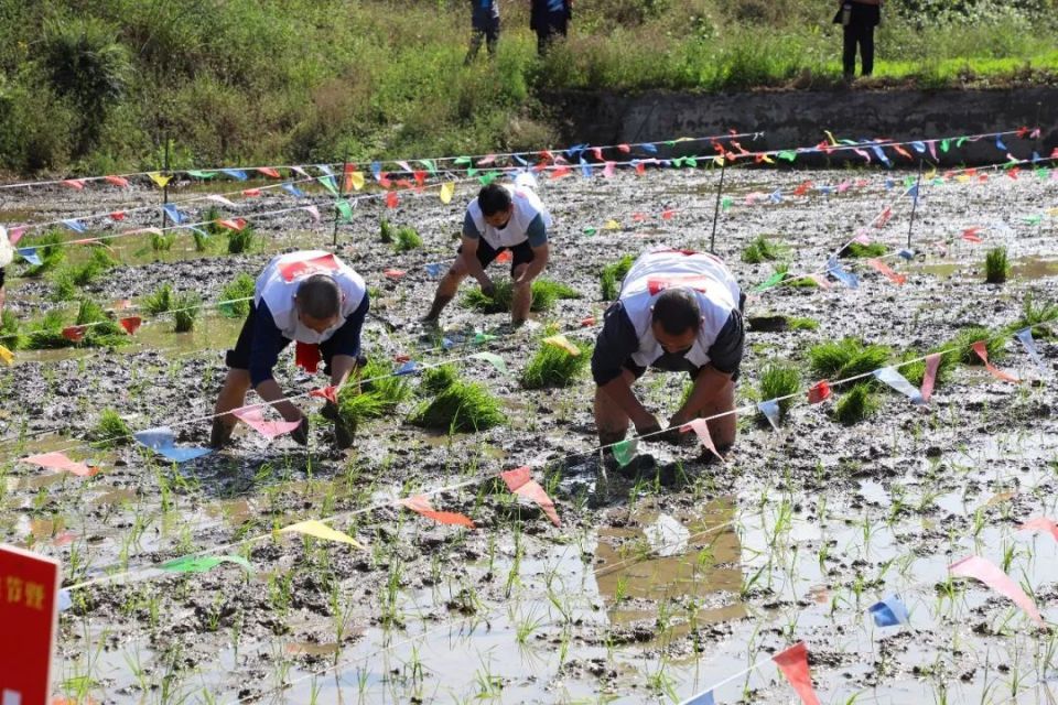 今天,僰王山这里热闹又好耍!