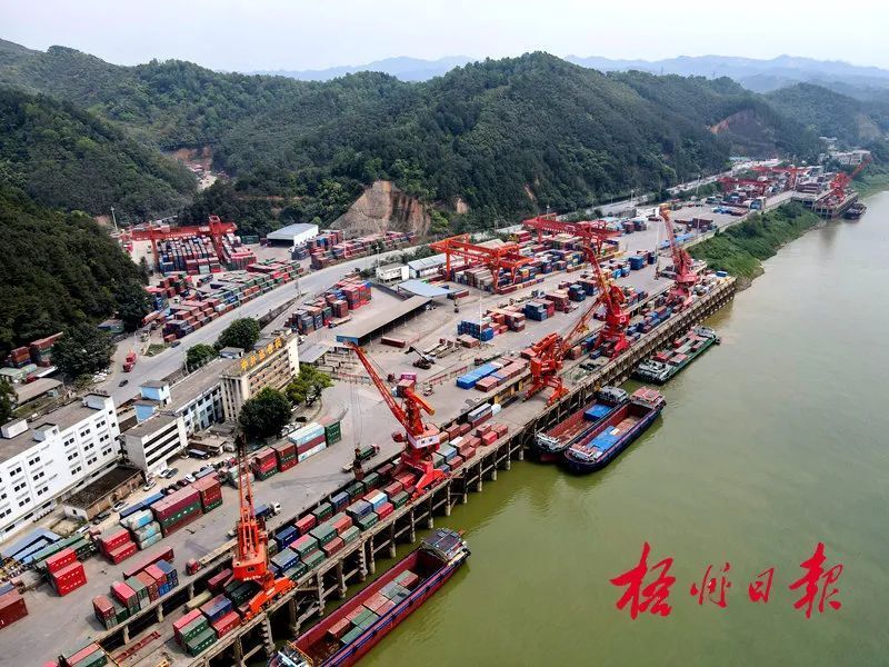 延伸助企触角外贸保稳提质丨梧州市一季度进出口增速强劲